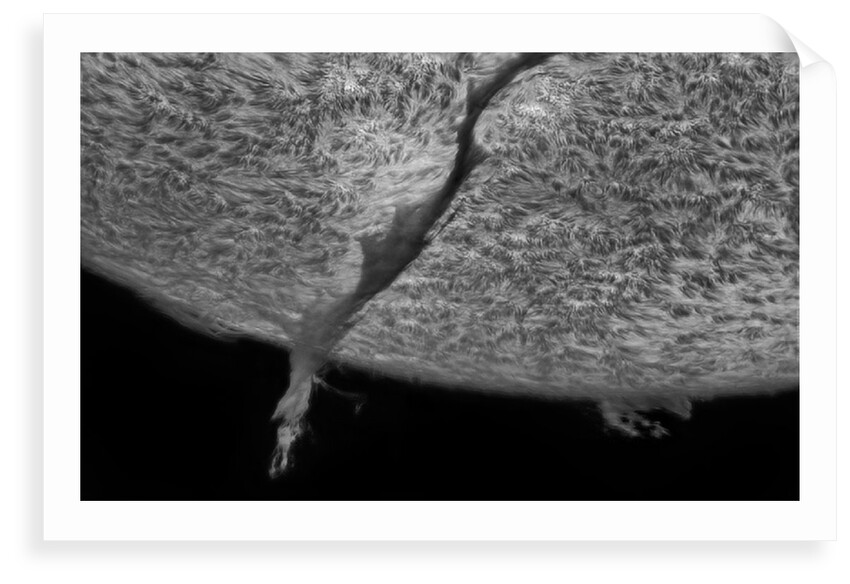 Huge Filaprom by Gabriel Octavian Corban