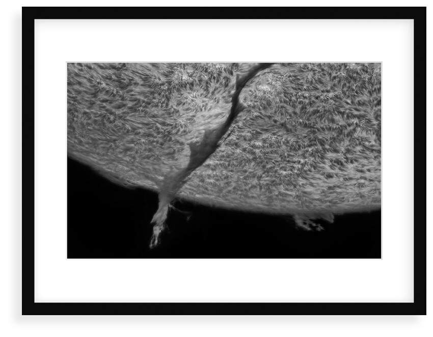 Huge Filaprom by Gabriel Octavian Corban