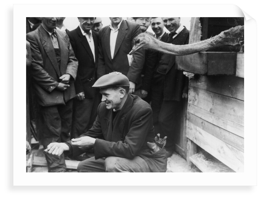 Dockers with an ostrich at the Royal Albert Dock. by unknown