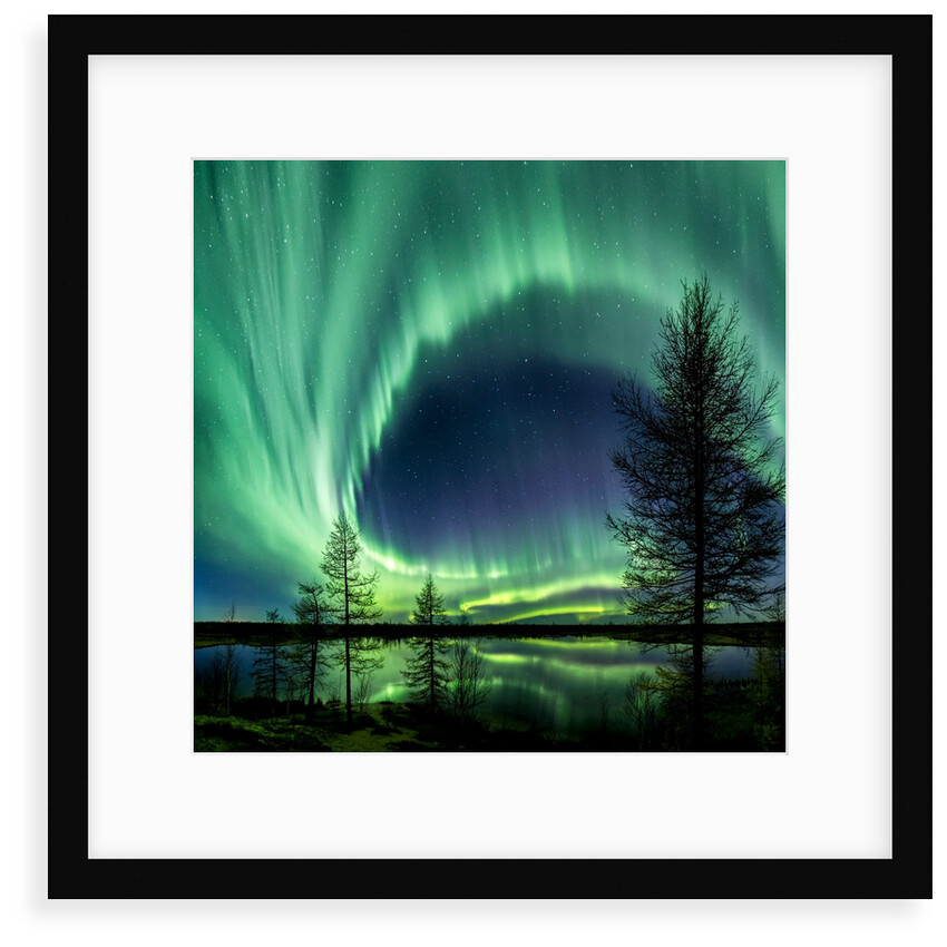 In Autumn Dance by Kamil Nureev