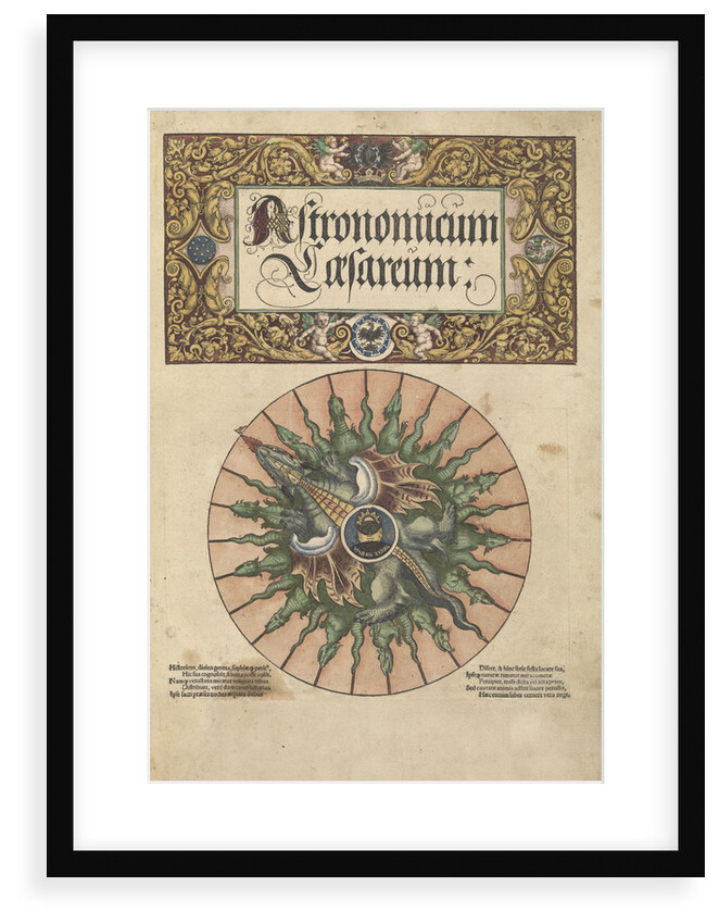 Frontispiece of 'Astronomicum Caesareum', 1540 by unknown