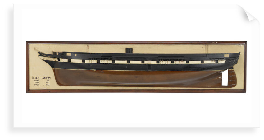 HMS 'Racoon' (1857) by unknown