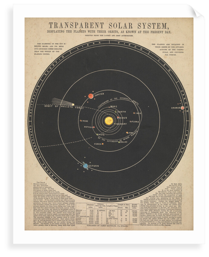 Solar system (backlit) by James Reynolds