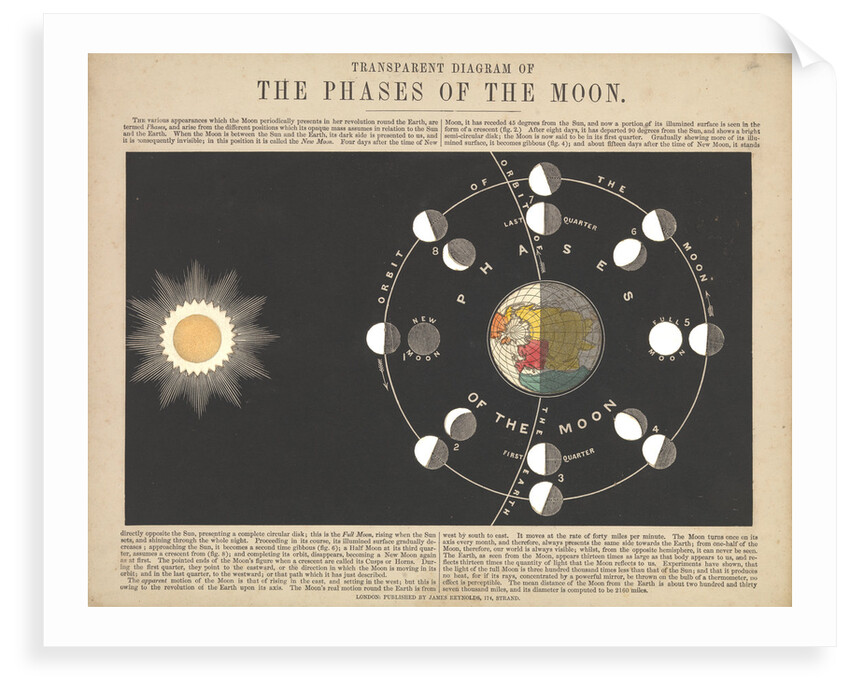 Transparent Diagram of the Phases of the Moon by James Reynolds