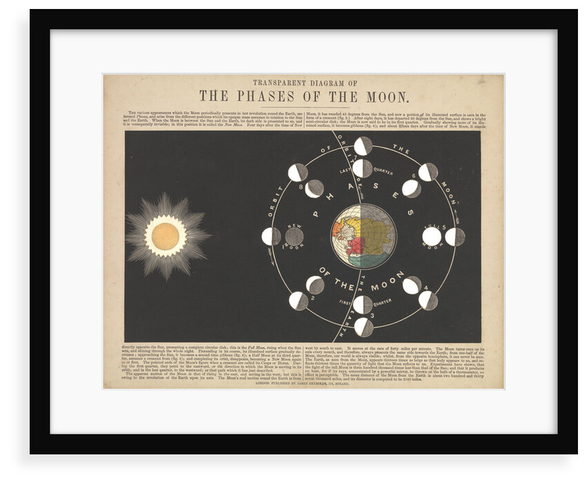 Transparent Diagram of the Phases of the Moon by James Reynolds