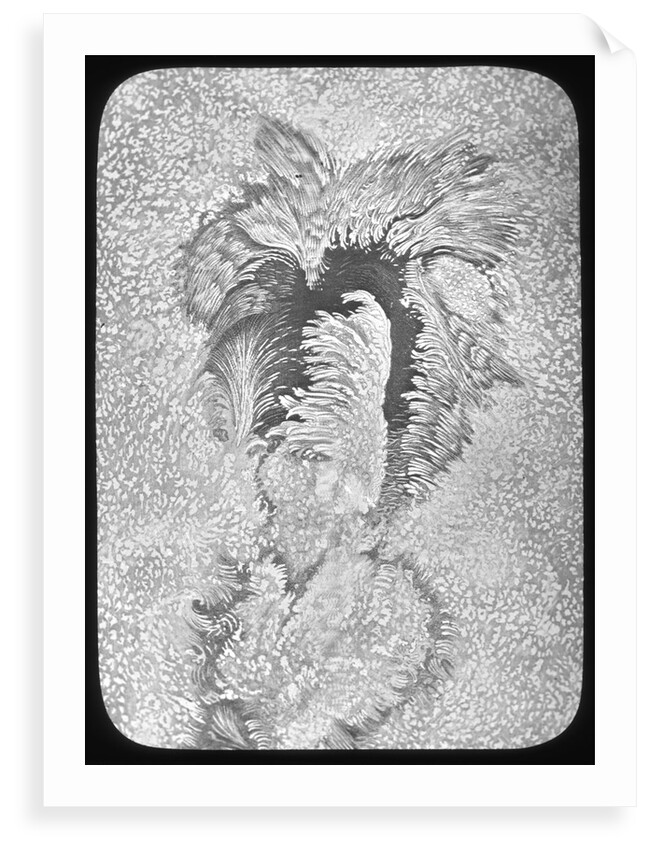 Lantern slide by York & Son