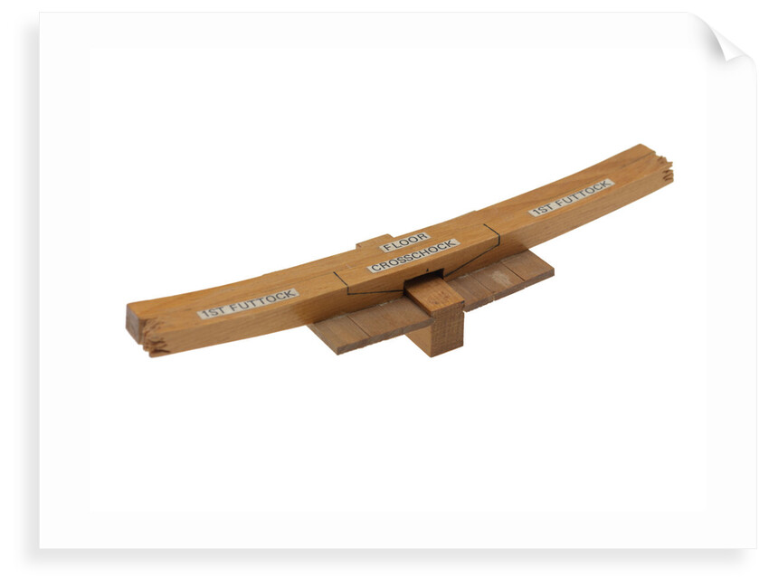 Component model; Frame model by James Lees