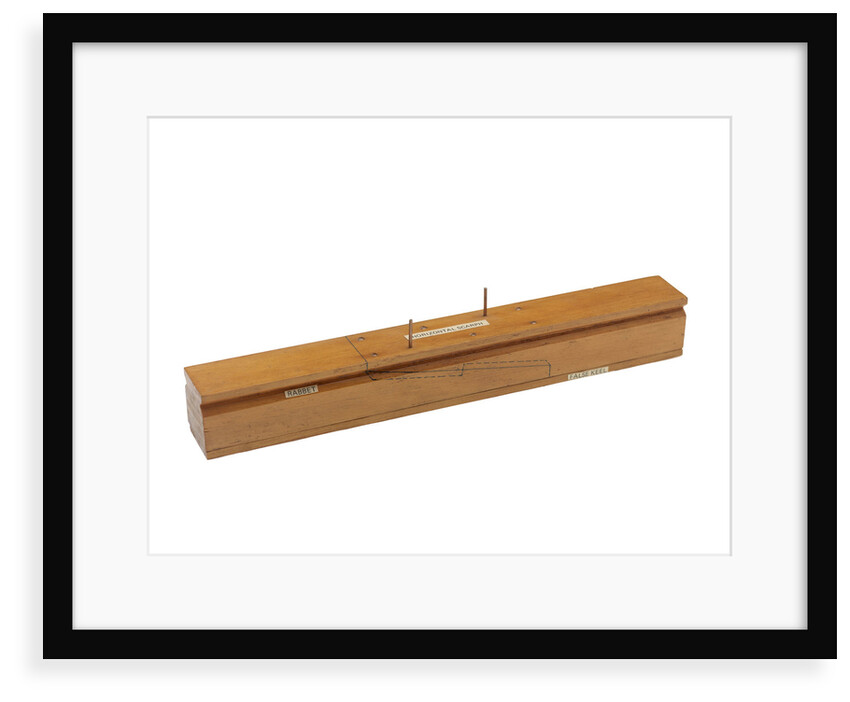 Component model; Frame model by James Lees