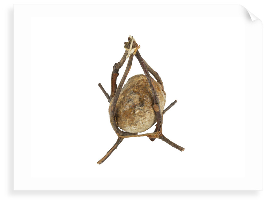 Equipment model; Anchor model; Killick by unknown