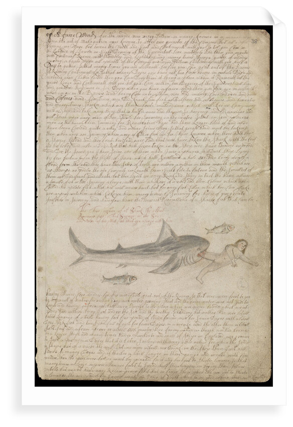 Plate from Edward Barlow's journal of his life at sea in king's ships, East & West Indiamen & other merchantmen from 1659 to 1703. by Edward Barlow