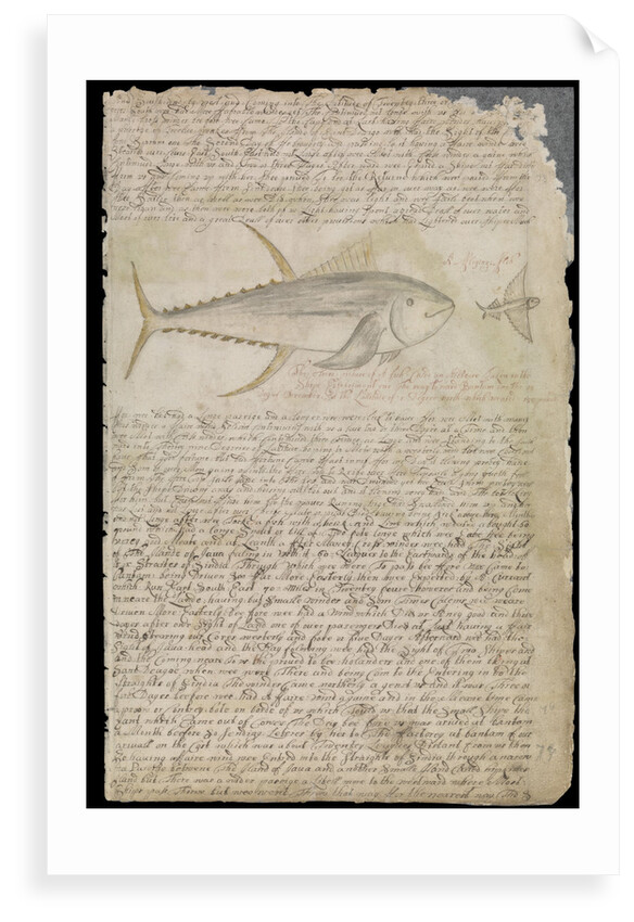 Plate from Edward Barlow's journal of his life at sea in king's ships, East & West Indiamen & other merchantmen from 1659 to 1703. by Edward Barlow