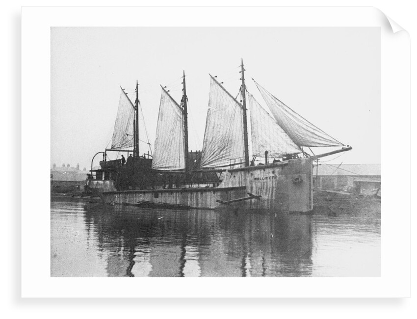 'Moliette' (1919) at Faversham by unknown