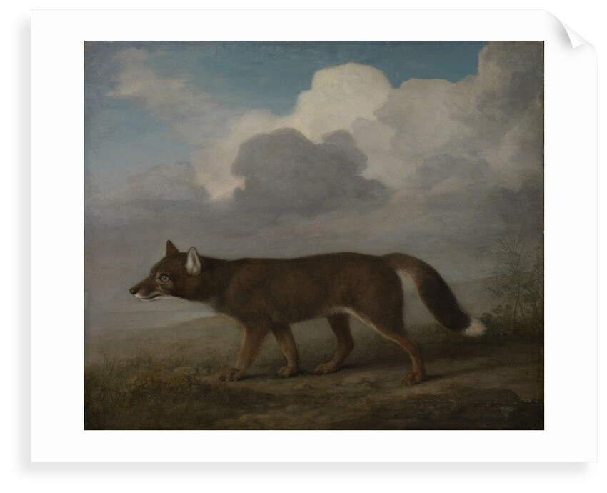 Portrait of a large dog (Dingo) by George Stubbs