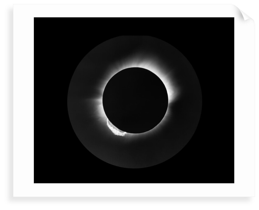Solar eclipse, 1919 by Unknown