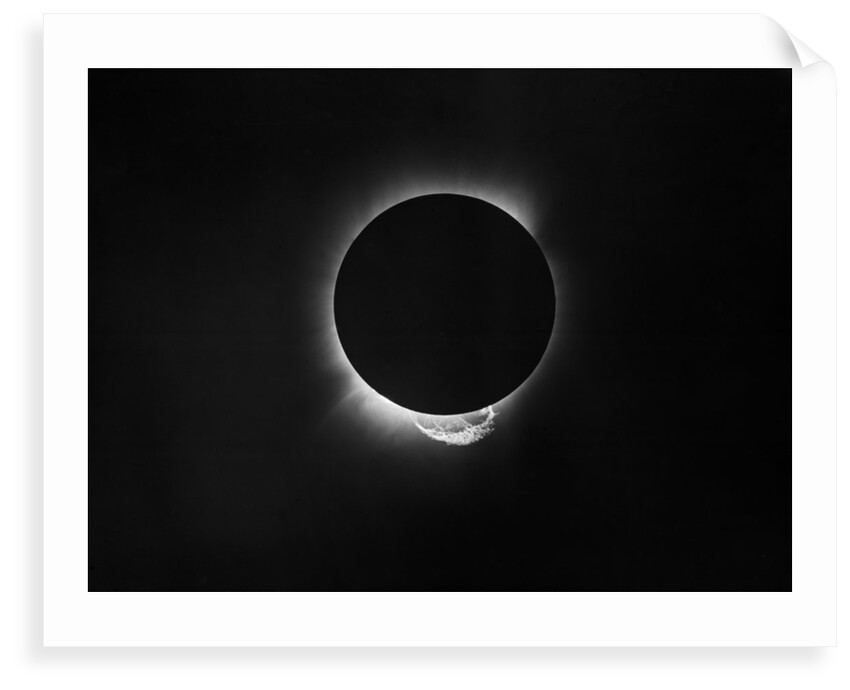 Solar eclipse, 1919 by Unknown