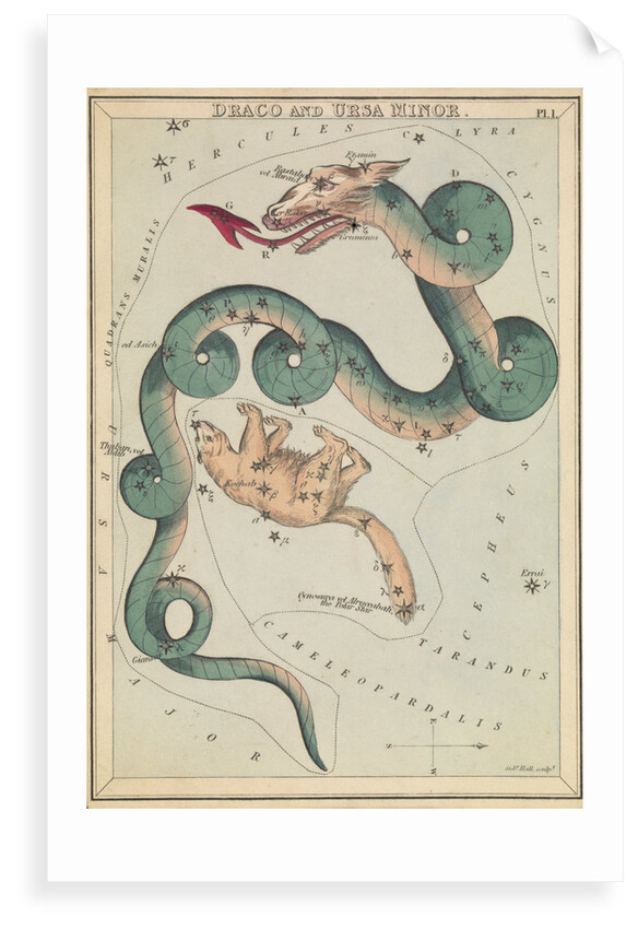 Draco and Ursa Minor by Sidney Hall