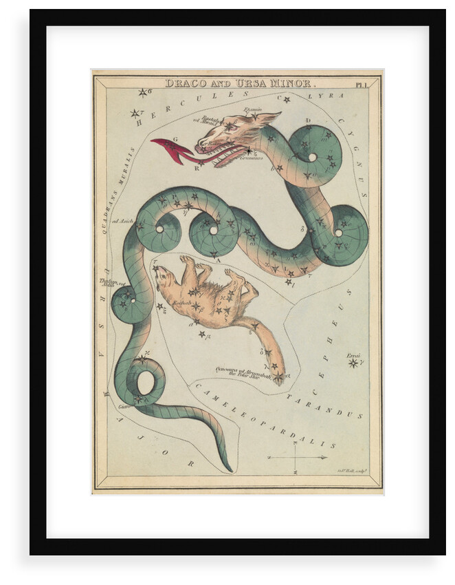 Draco and Ursa Minor by Sidney Hall