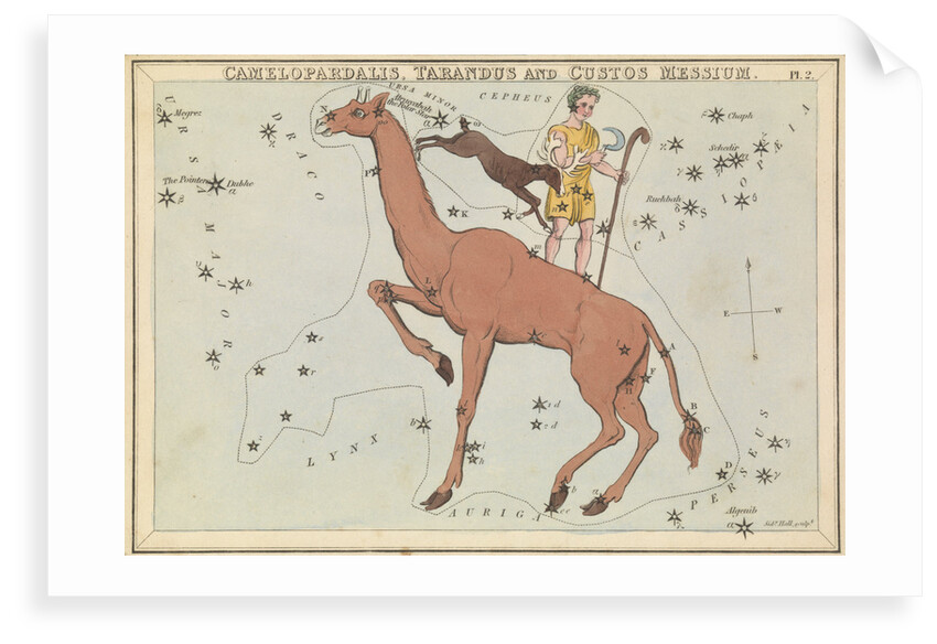 Camelopadalis, Tarandus and Custos Messium by Sidney Hall