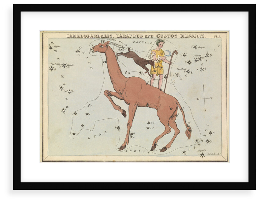 Camelopadalis, Tarandus and Custos Messium by Sidney Hall