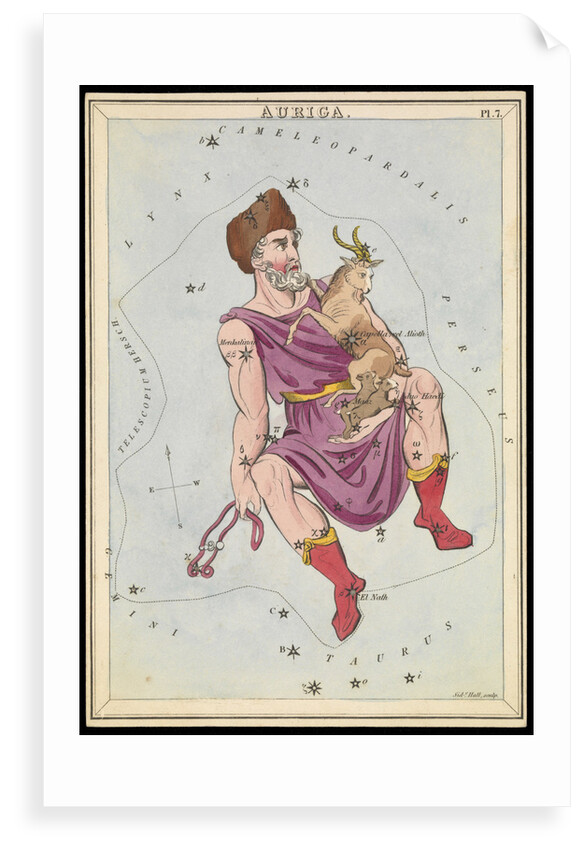 Auriga by Sidney Hall