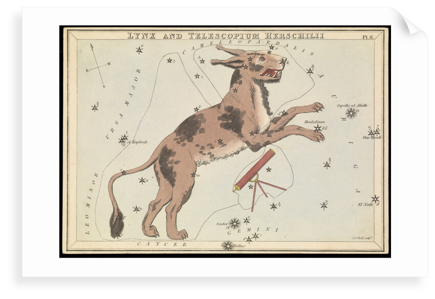 Lynx and Telescopium Hereschilii by Sidney Hall