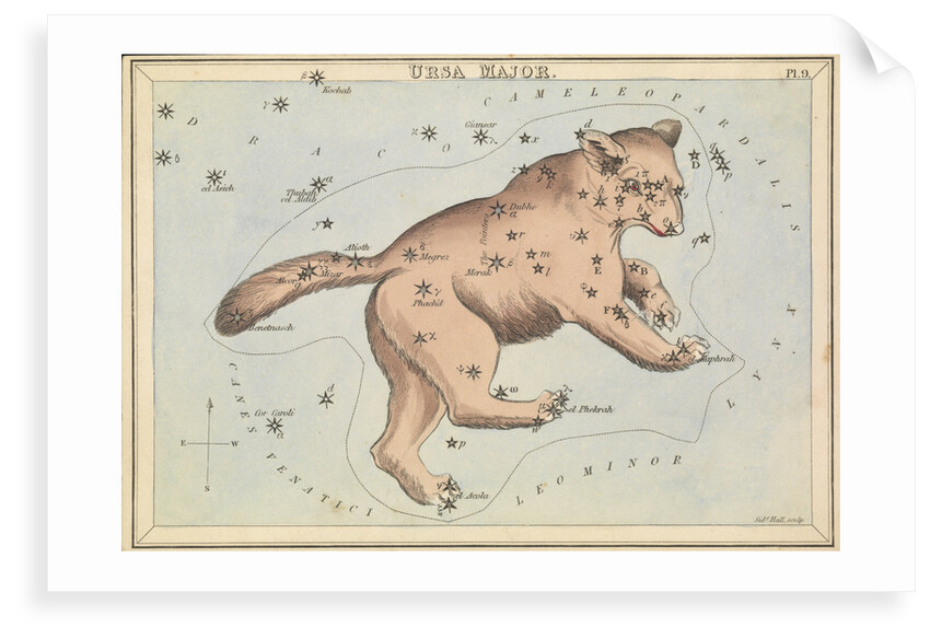 Ursa Major by Sidney Hall
