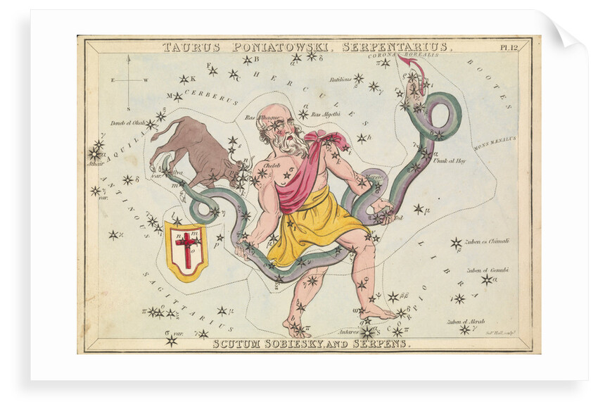 Taurus Poniatowski, Serpentarius, Scutum Sobiesky and Serpens by Sidney Hall