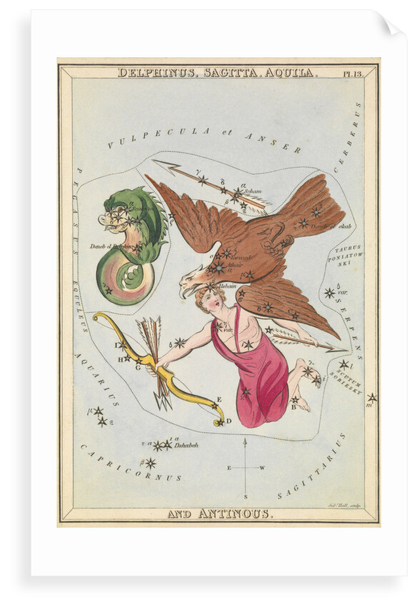 Delphinus, Sagitta, Aquila and Antinous by Sidney Hall