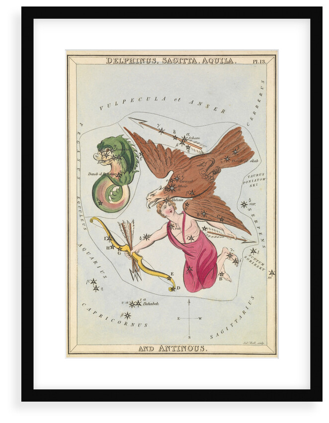 Delphinus, Sagitta, Aquila and Antinous by Sidney Hall