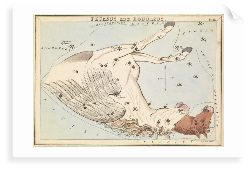 Pegasus and Equuleus by Sidney Hall