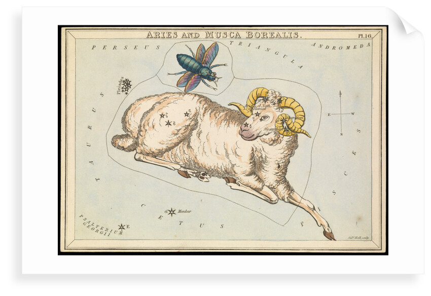 Aries and Musca borealis by Sidney Hall