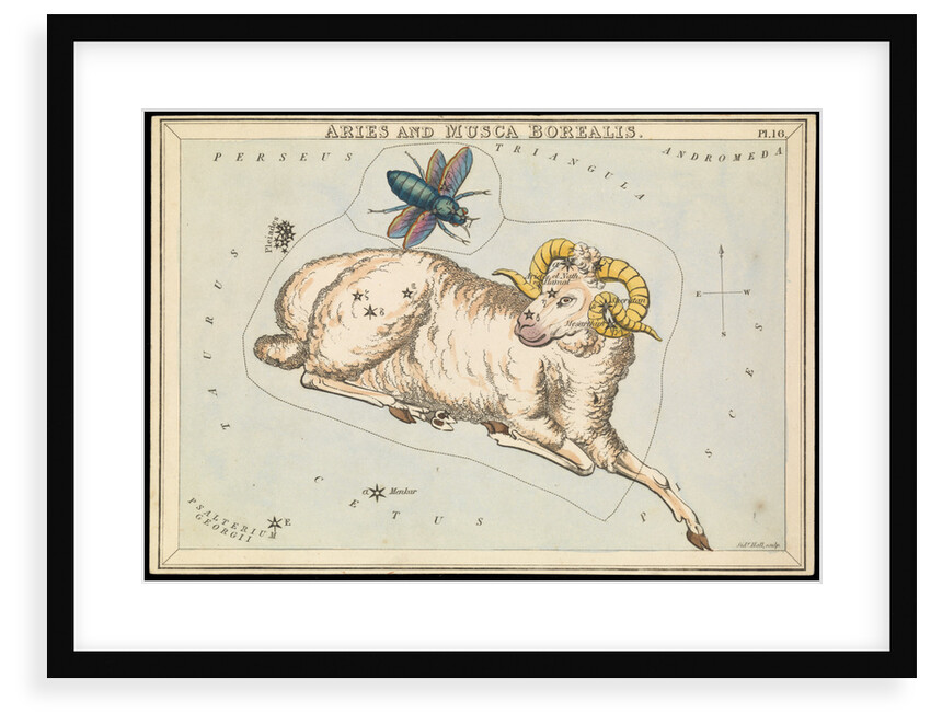 Aries and Musca borealis by Sidney Hall