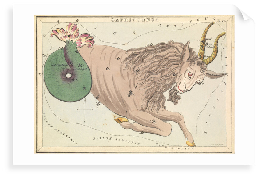 Capricornus by Sidney Hall