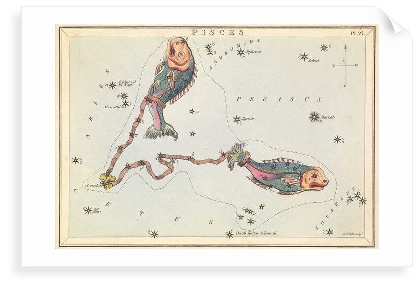 Pisces by Sidney Hall