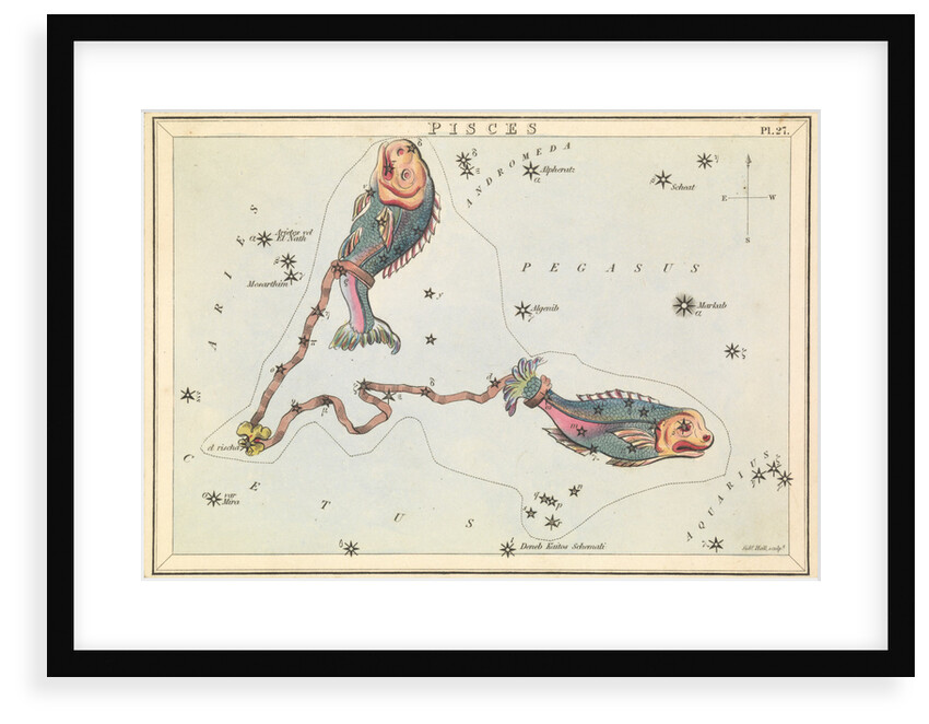 Pisces by Sidney Hall