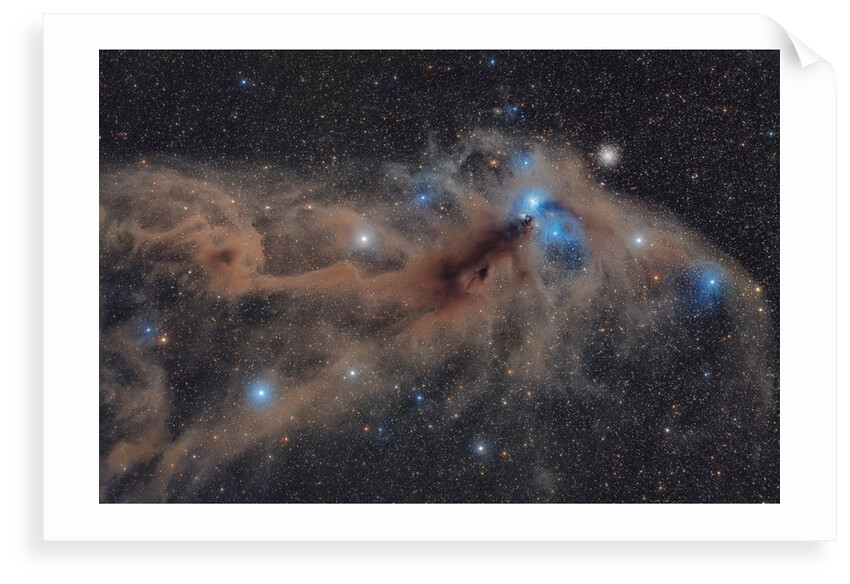 Corona Australis Dust Complex by Mario Cogo
