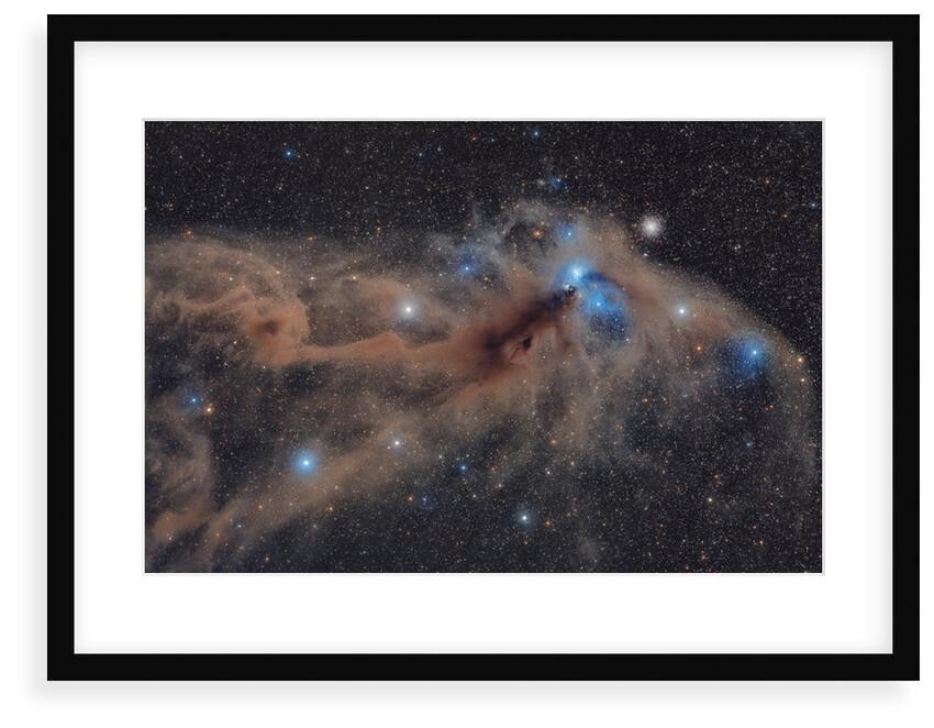 Corona Australis Dust Complex by Mario Cogo