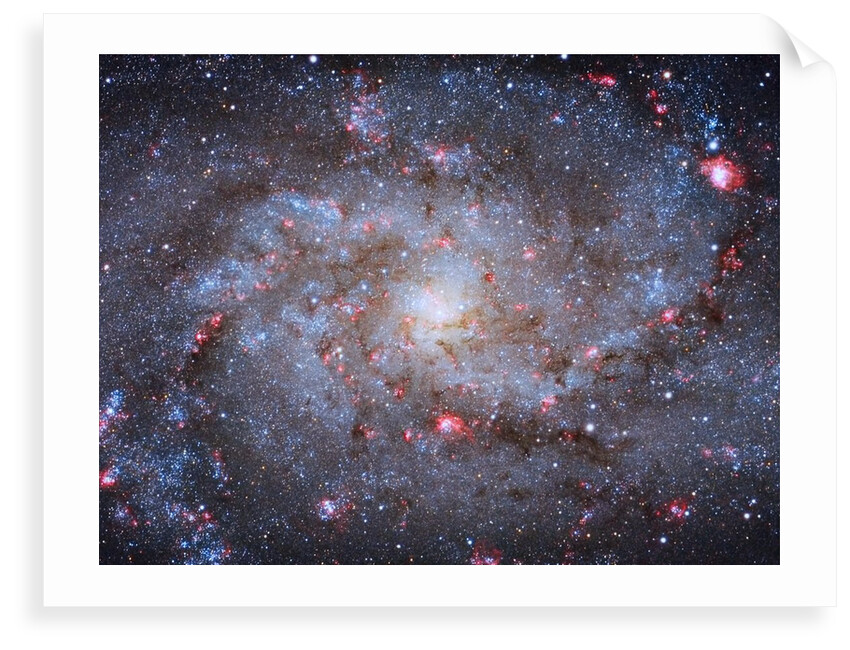 M33 Core by Michael van Doorn