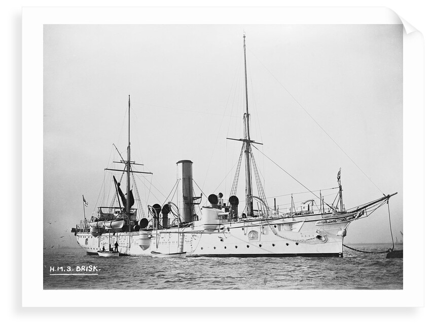 Torpedo cruiser HMS 'Brisk' (1886) by Unknown