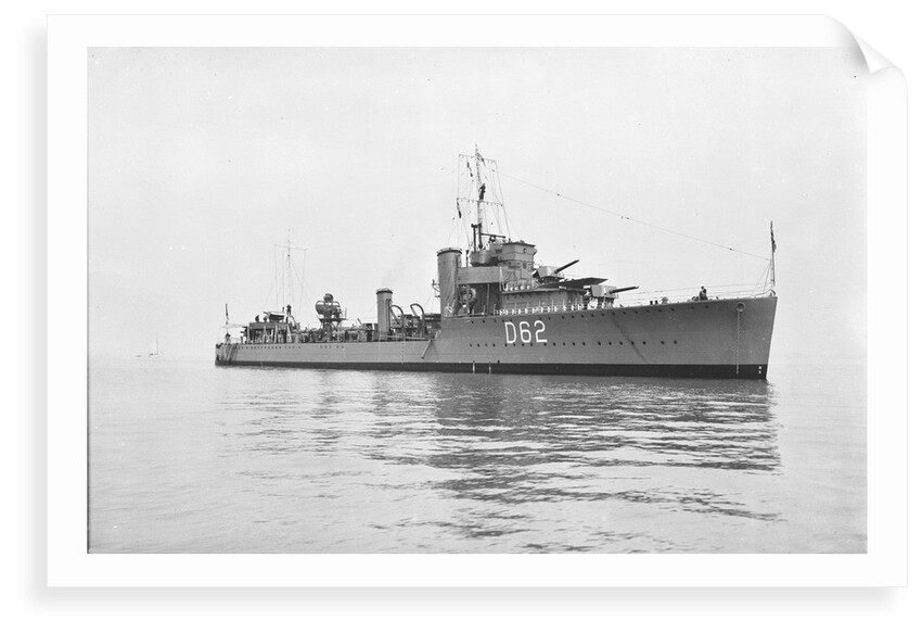 'Wild Swan' (1919) by Unknown