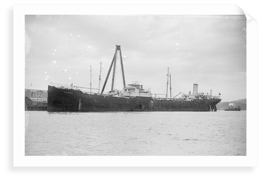 'Oleander' (Br, 1922) by unknown