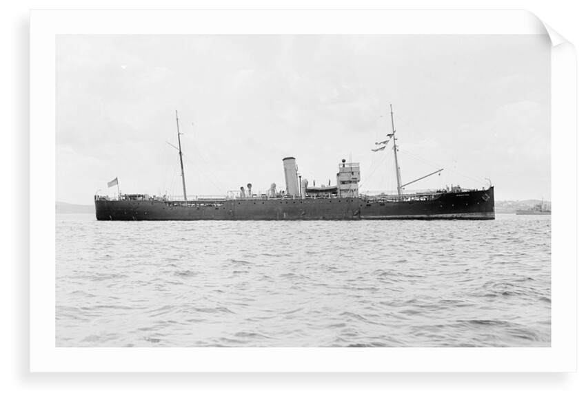 'Prestol' (Br, 1917) by unknown