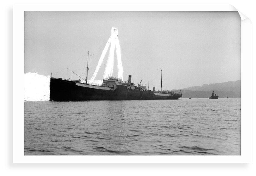 Photograph of 'War Hindoo' (1929), from Richard Perkins Collection by Richard Perkins