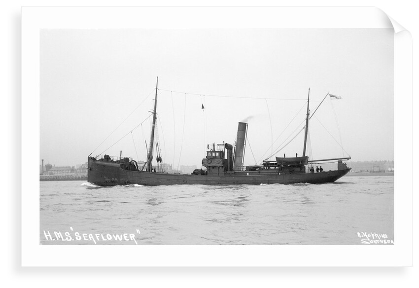 Trawler HMS 'Seaflower' (1908), 1912 by unknown