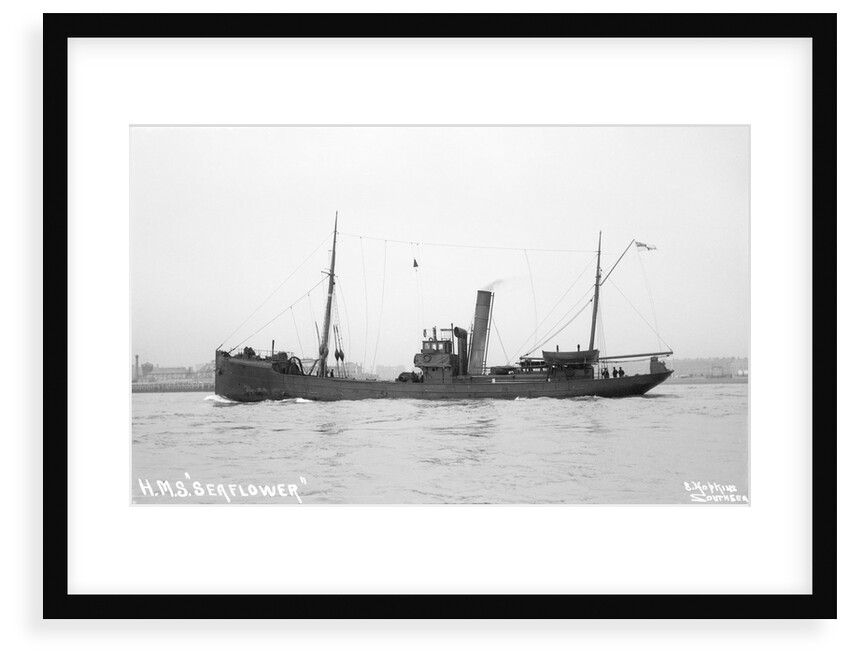 Trawler HMS 'Seaflower' (1908), 1912 by unknown