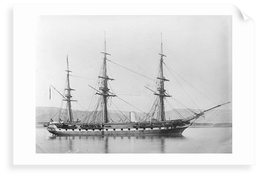 'Phoebe' (1854) by Unknown