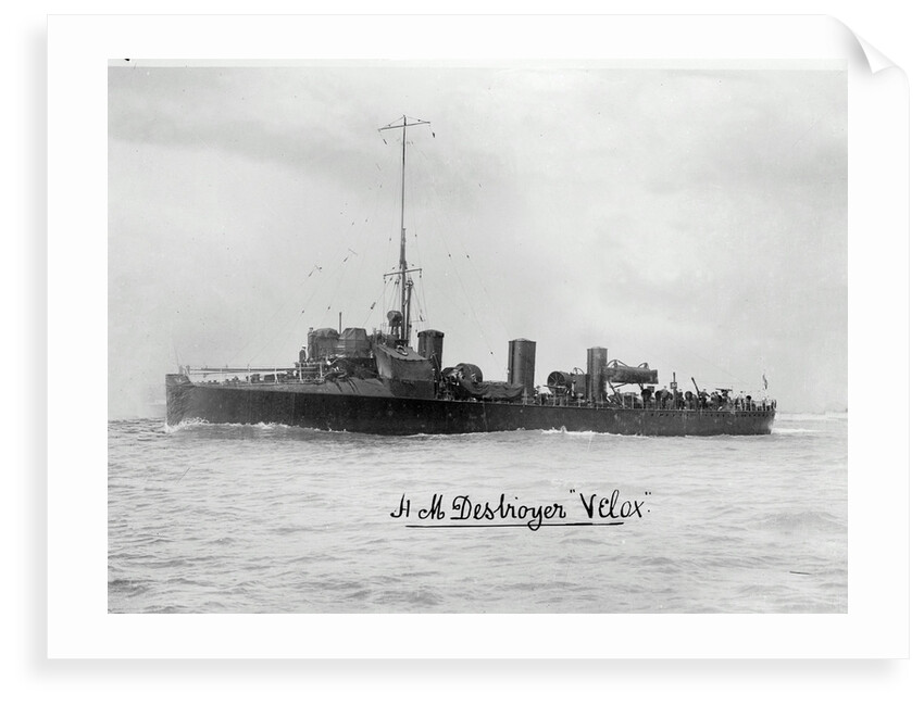 HMS 'Velox' (1902) by unknown