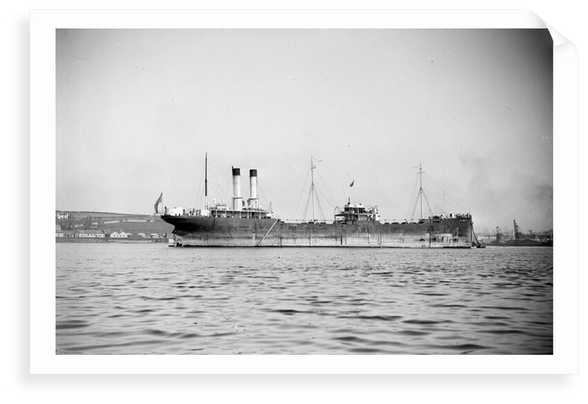 'Delphinula' (Br, 1908) by unknown