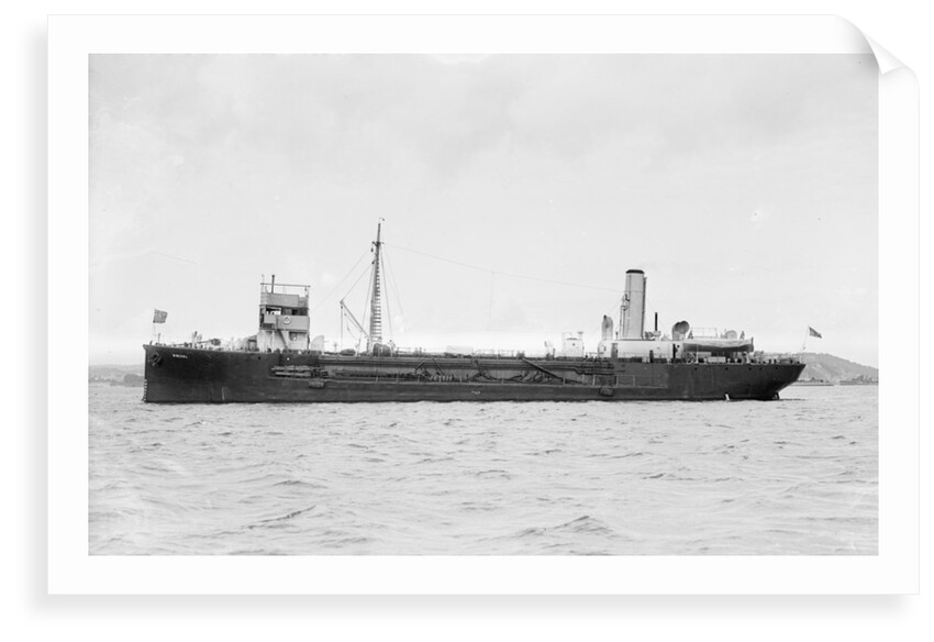 'Birchol' (Br, 1917) by unknown