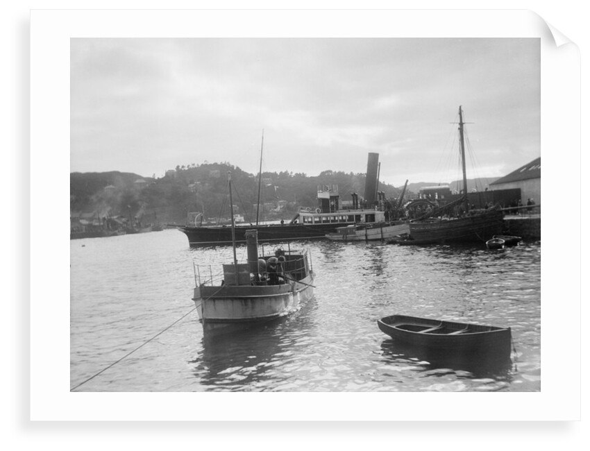 'Fusilier' (Br, 1888) paddle steamer (West coast of Scotland services), David MacBrayne Ltd by unknown